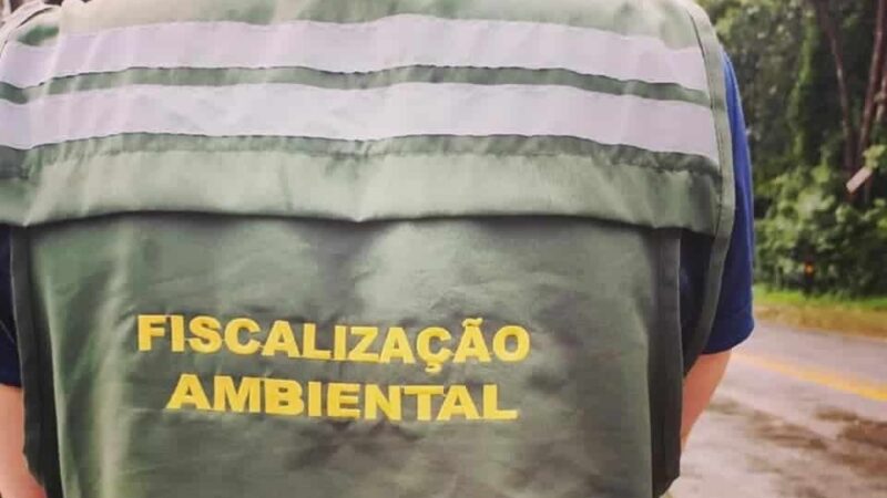 Colab: Nova ferramenta do aplicativo agiliza atendimento ao cidadão