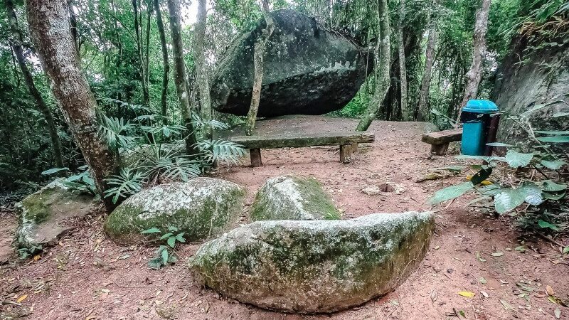 Cuidado com a fonte verde de vida: programa auxilia na proteção das florestas