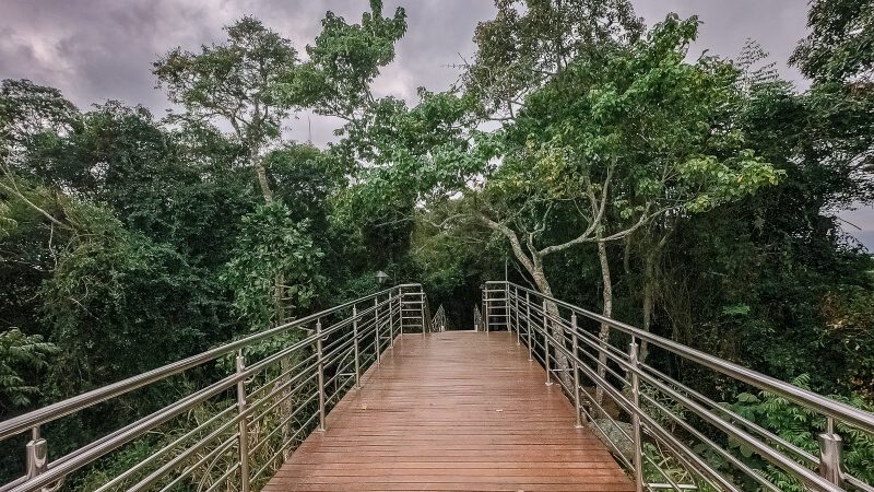 Cenários Naturais Disponíveis: Parques de Vitória Mantêm Funcionamento Regular nas Festas de Fim de Ano