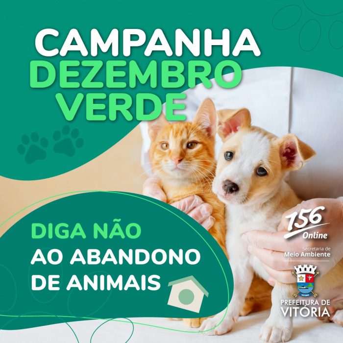 Campanha Dezembro Verde: União Contra o Abandono e Maus-Tratos aos Animais em Vitória