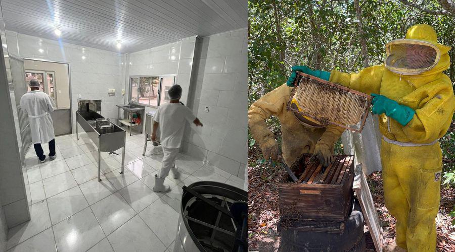 Vila Velha avança na agricultura familiar com inauguração da 1ª agroindústria de mel