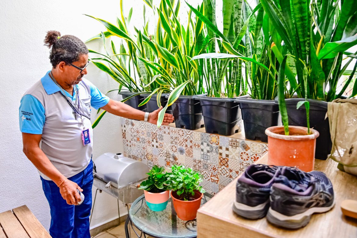 Combate à dengue: prevenção deve ser reforçada no verão