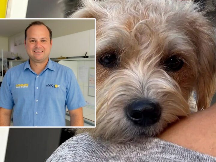 Dr. Victor Linhalis cria canal de denúncias contra maus-tratos de animais no Espírito Santo