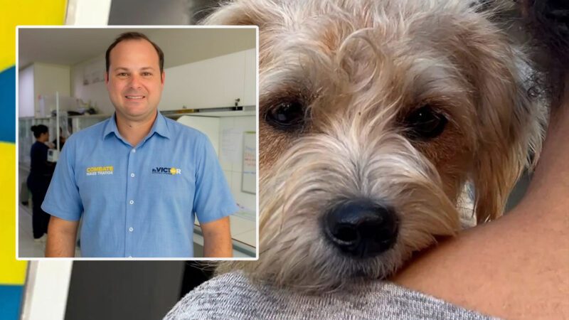 Dr. Victor Linhalis cria canal de denúncias contra maus-tratos de animais no Espírito Santo