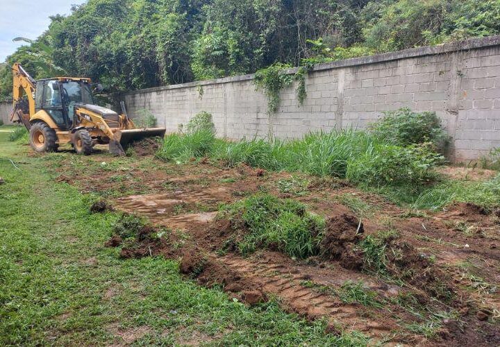 Município aposta em hortas comunitárias para fortalecer a agricultura urbana em Jabaeté