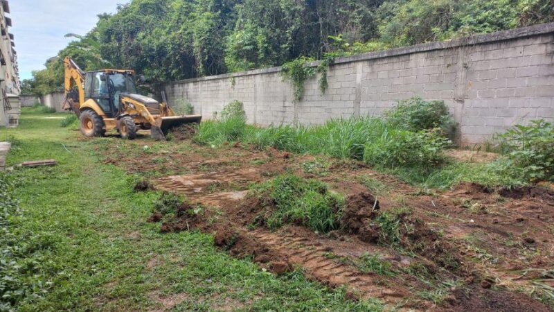 Município aposta em hortas comunitárias para fortalecer a agricultura urbana em Jabaeté