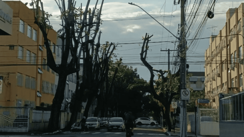 Moradores questionam poda de árvores em Jardim da Penha