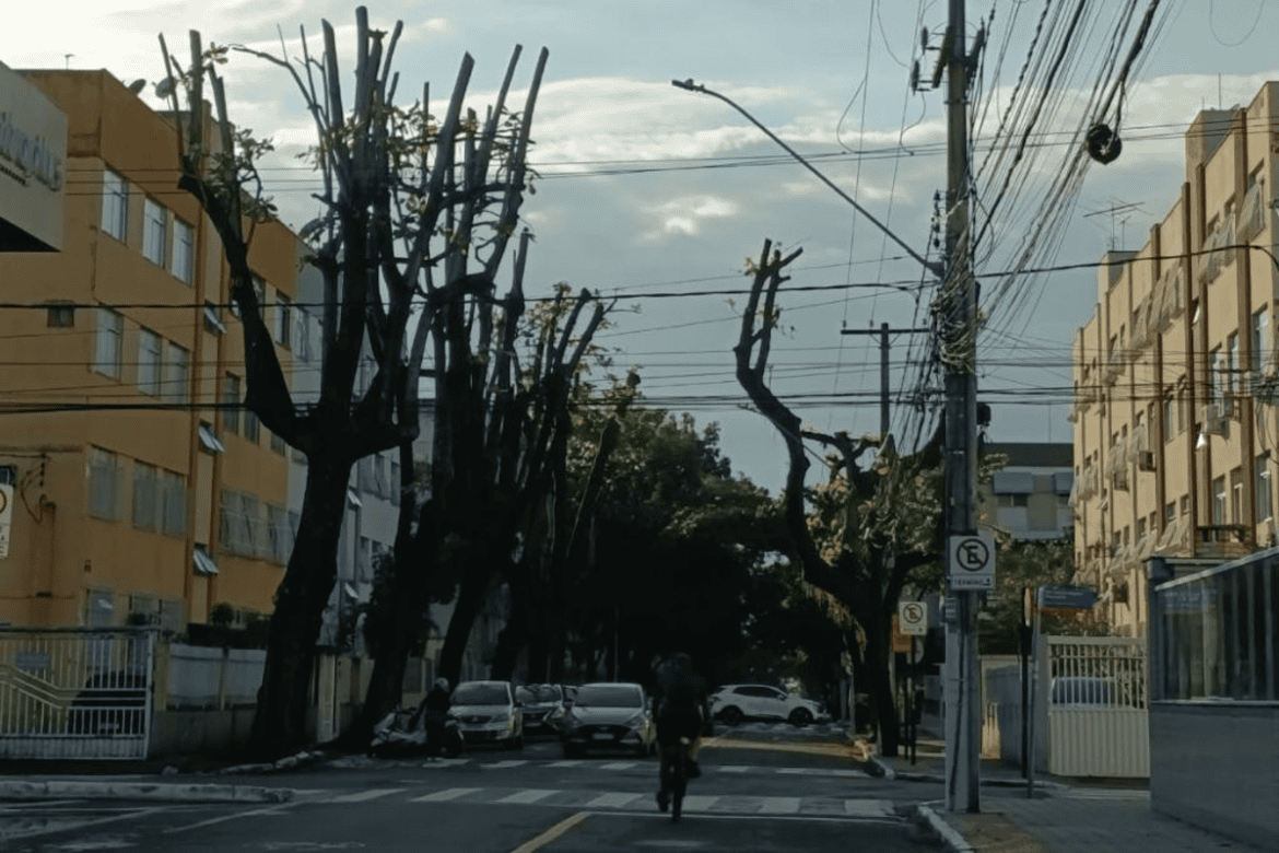Moradores questionam poda de árvores em Jardim da Penha