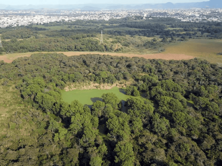 Câmara de Vila Velha aprova revisão do Plano Diretor sob protestos