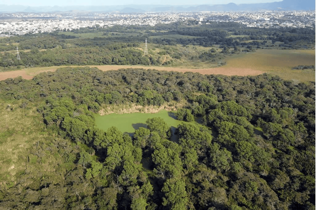 Câmara de Vila Velha aprova revisão do Plano Diretor sob protestos