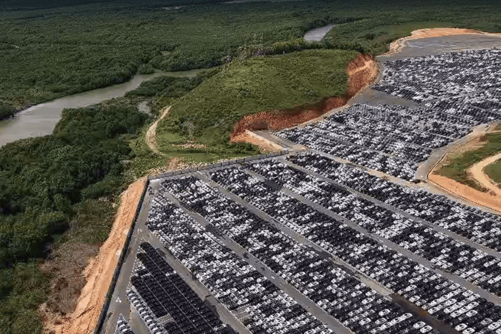 ONG aciona Justiça contra aterros e danos ambientais em Vila Cajueiro
