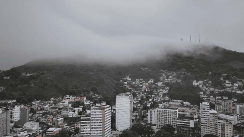 Defesa Civil vai cadastrar pets de famílias em áreas de risco em Vila Velha