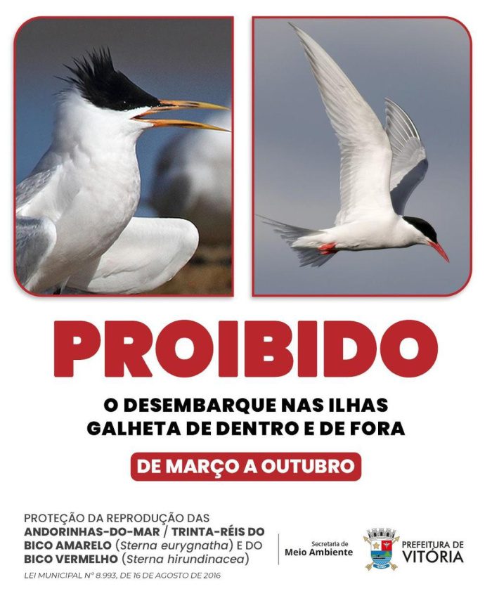 Acesso às Ilhas Galheta segue proibido até 31 de outubro para proteger aves marinhas em Vitória