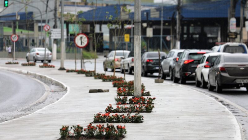 Prefeitura realiza revitalização do canteiro central da cidade