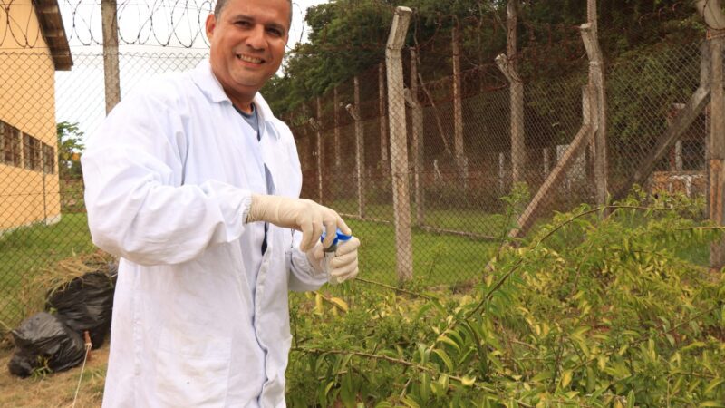 Socioeducandos do IASES contarão com projeto de ressocialização do Ministério Público