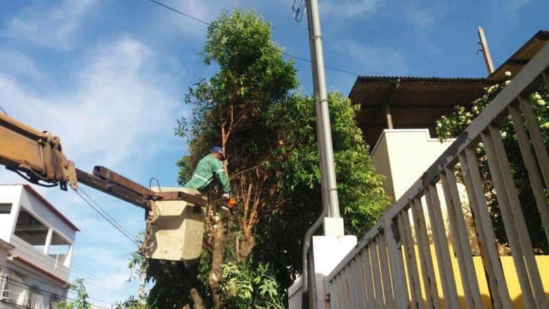 Garantindo a Qualidade de Vida: Prefeito Euclério e Secretário Aranda realizaram operação preventiva em Cariacica