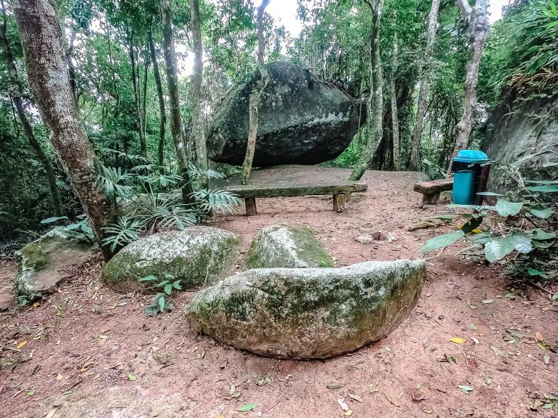 Cuidado com a fonte verde de vida: programa auxilia na proteção das florestas