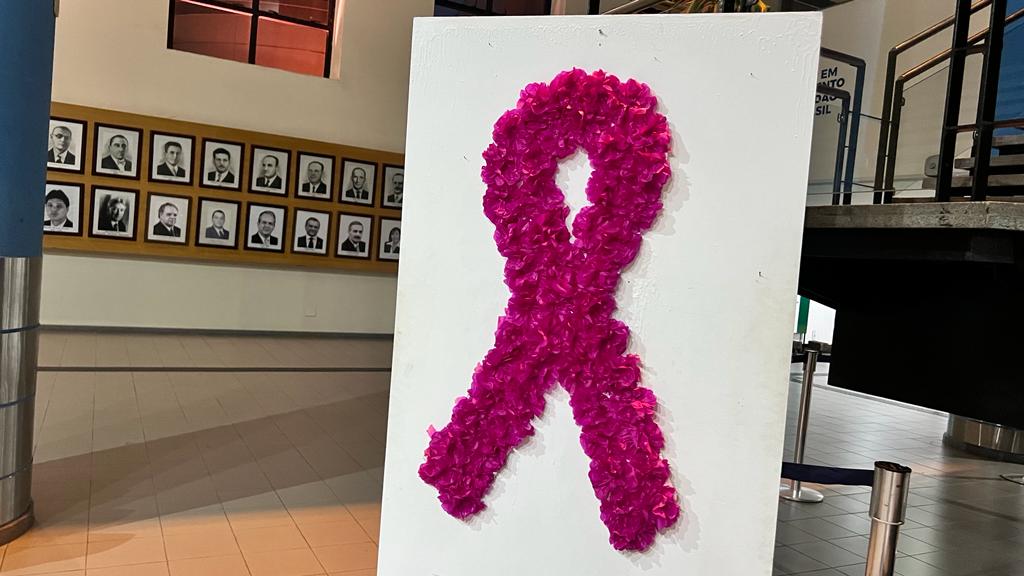 A Assembleia Legislativa abraça a causa da conscientização e combate ao câncer de mama