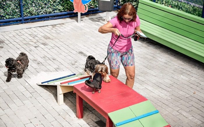Novidades no Parque para Pets: Áreas Reformuladas para o Entretenimento dos Cãezinhos