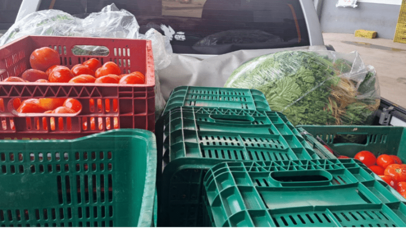 Banco de Alimentos de Cariacica Arrecada 5,5 Toneladas em Parceria com Supermercado, Beneficiando Mais de 1 Mil Famílias