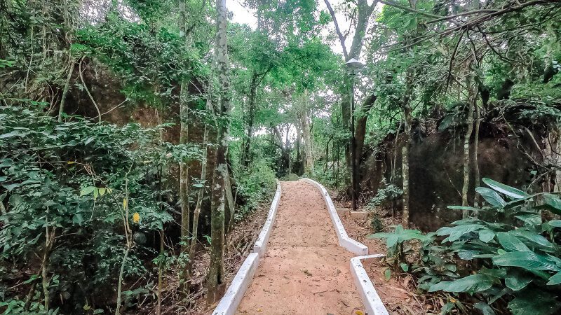 Aventura Educacional: Estudantes de Aracruz Exploram a Mata Atlântica na Fonte Grande