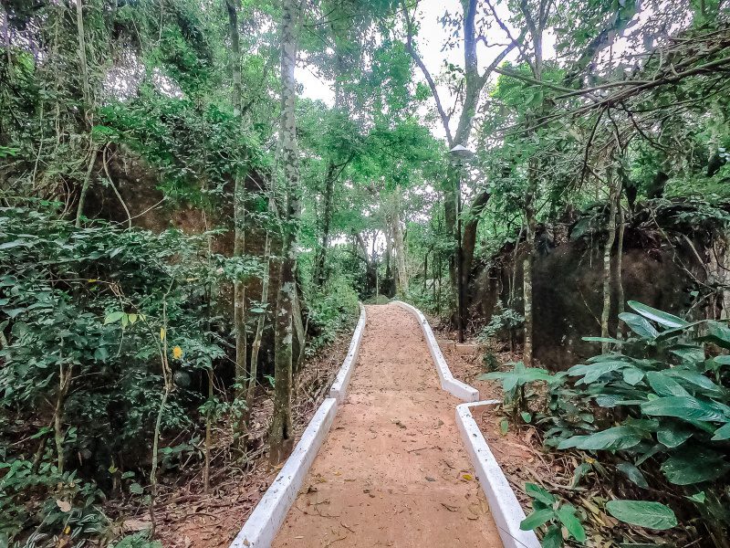 Aventura Educacional: Estudantes de Aracruz Exploram a Mata Atlântica na Fonte Grande