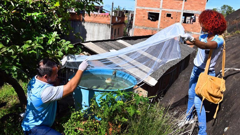 Ação Educativa Contra a Dengue nas Feiras Livres de Vitória no Sábado (16)