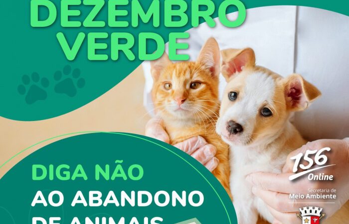 Campanha Dezembro Verde: União Contra o Abandono e Maus-Tratos aos Animais em Vitória