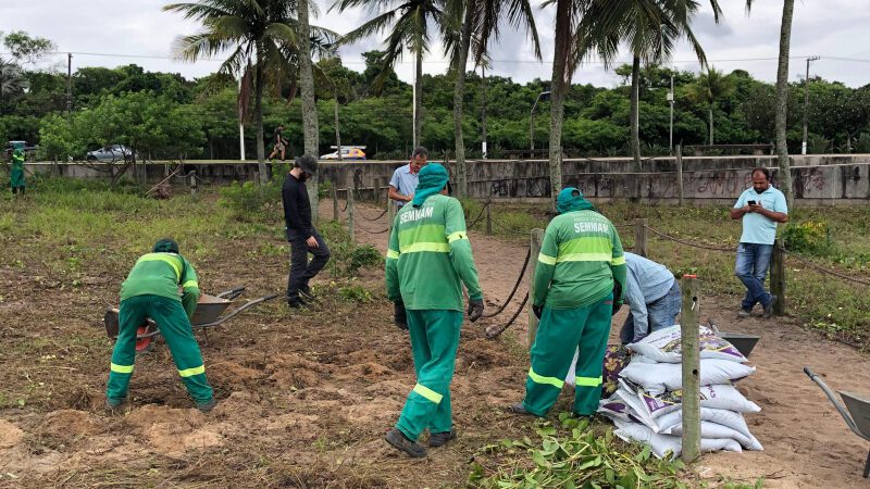 Trabalho de restauração na restinga da praia de Camburi promovido pelo Meio Ambiente