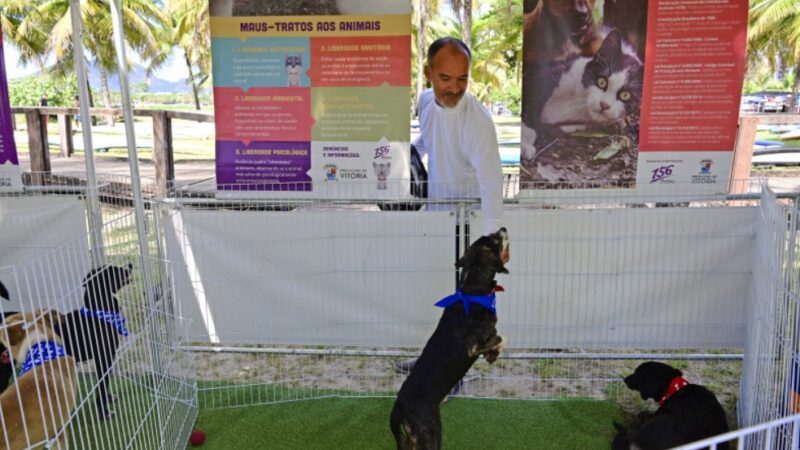 Este sábado (24) terá evento de adoção de animais em Jardim da Penha