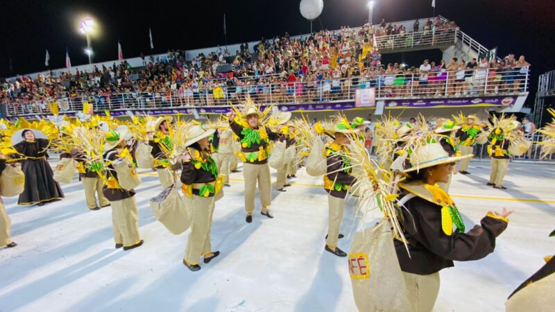 Ritmo e Responsabilidade: Rizk, Presidente da OAB, Encanta em Desfile Carnavalesco em Vitória