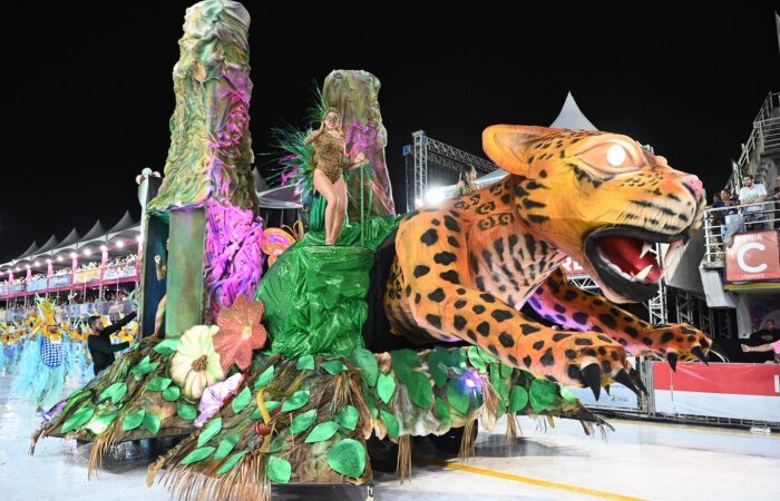 Carnaval 2024: Imperatriz do Forte levou para a avenida histórias da comunidade