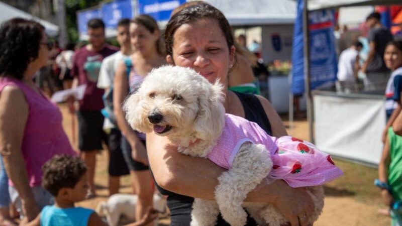 SuperAção em Normília da Cunha: Triagem para Castração de Cadelas e Gatas