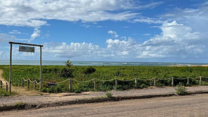 ​Prefeitura faz ações de conservação e proteção das restingas da Ponta da Fruta