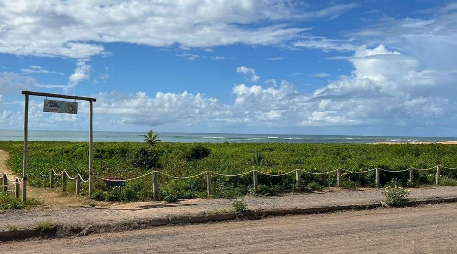 ​Prefeitura faz ações de conservação e proteção das restingas da Ponta da Fruta