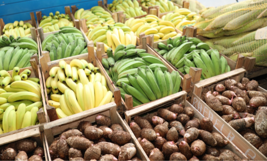 Banco de Alimentos recebe 17 toneladas de produtos agrícolas para famílias em vulnerabilidade