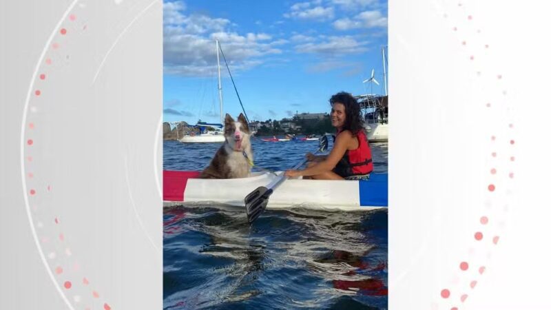 Cães se aventuram com tutores em passeios de caiaque em praia de Vitória