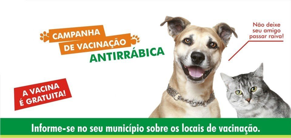 Cães e gatos já estão sendo vacinados contra raiva