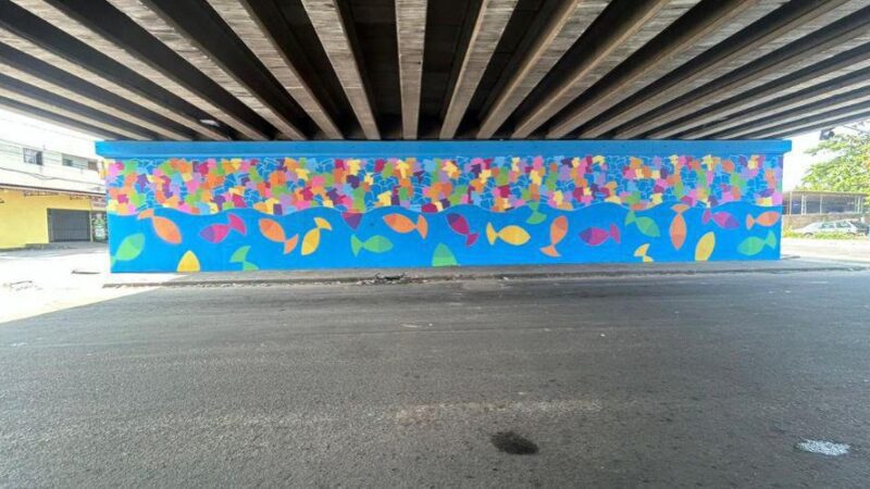 Artistas criam mural no Viaduto da Rodovia do Sol em Ulisses Guimarães