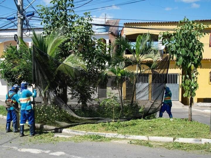 Serra intensifica ações de limpeza e manutenção em diversos bairros